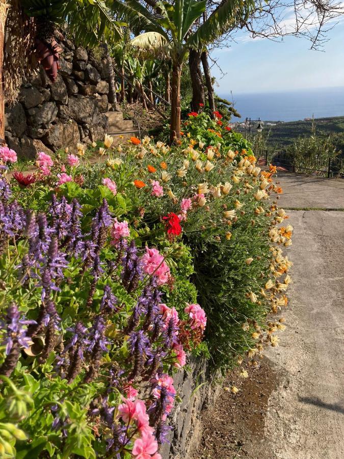 Fazenda Do Sousinha Otel Funchal  Dış mekan fotoğraf