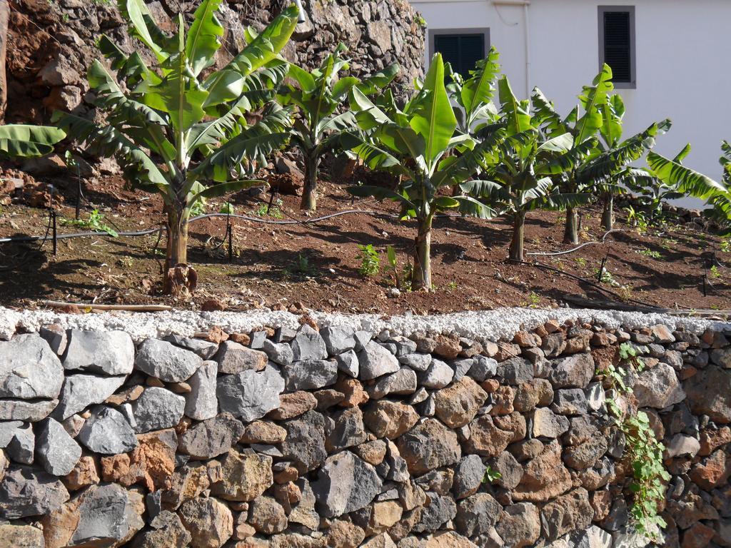 Fazenda Do Sousinha Otel Funchal  Dış mekan fotoğraf